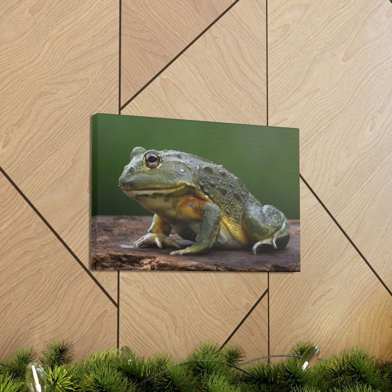 Art de grenouille majestueuse impression de grenouille, H 12 po x l 18 po