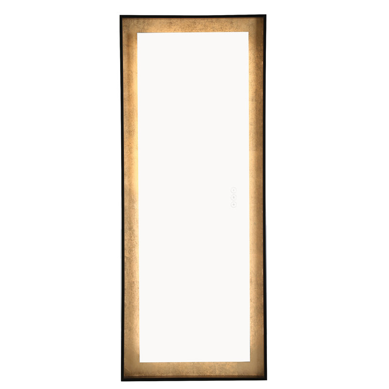 Miroir Anya, 65 po x 26 po, Noir / or, Rectangulaire