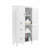 Multi-Functional Storage Cabinet with Adjustable Shelves