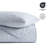 Paisley 100% Cotton Quilt Set 3 Pieces-116732156-116732157
