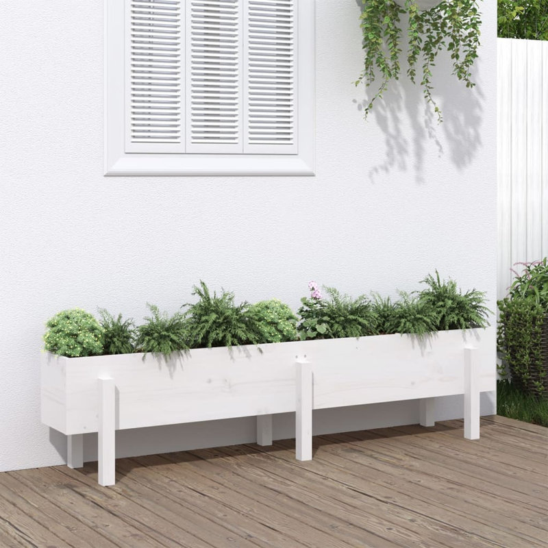 Meenakshi Wood Raised Garden Bed, Pine, White, 38cm H x 160cm W x 30cm D