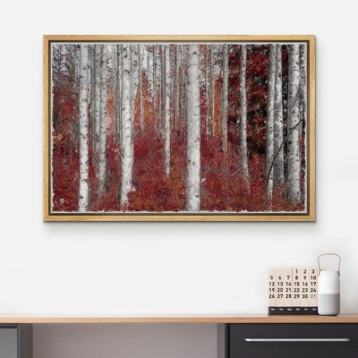 Aspen Birch " White Birch Trees With Autumn Red Leaves Nature Forest Wilderness Realism Rustic Decor "