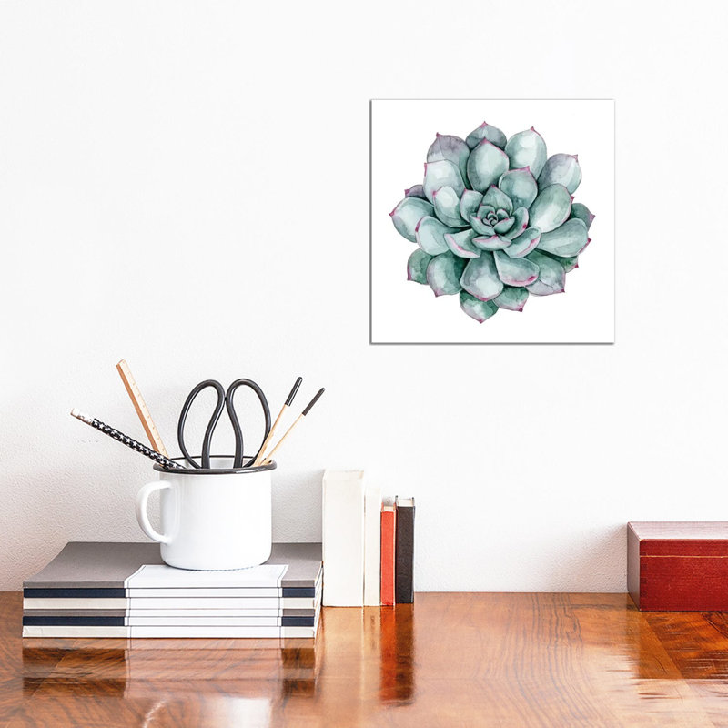 Succulent Swatches II 1 Piece Wrapped Canvas Wall Art, 30.48 cm H x 30.48 cm W