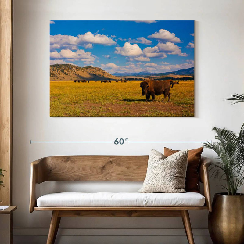 Bison dans le parc national, H 32 po x l 48 po