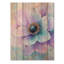 Mauve dansant symphonie d'anémone III - coquelicots, art mural sur bois de pin naturel-1399369271