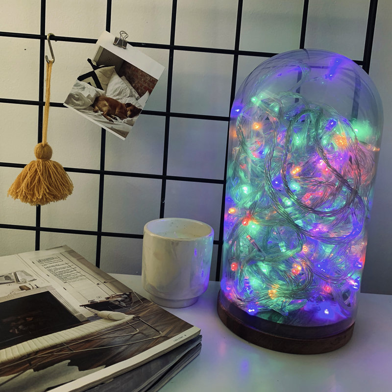 Milo Indoor Plug-in LED Wide Angle LED String Light, 32 ft., Green/Pink