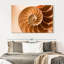 Coque Aletra Nautilus à l'intérieur-107680917