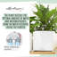 Cube Pot Planter-36478384-36478385