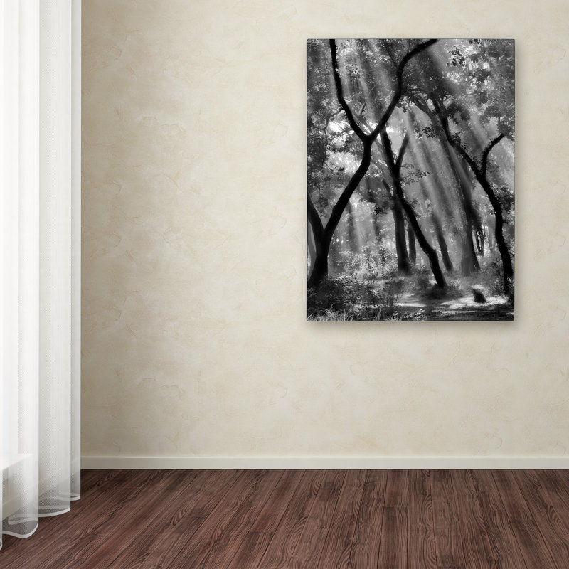 Enchanted Forest Black and White Canvas Art with Wooden Frame