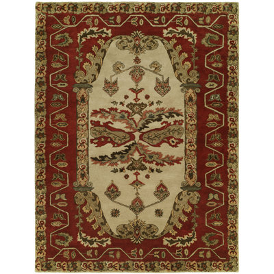 Wool Oriental Area Rug in Red/Brown