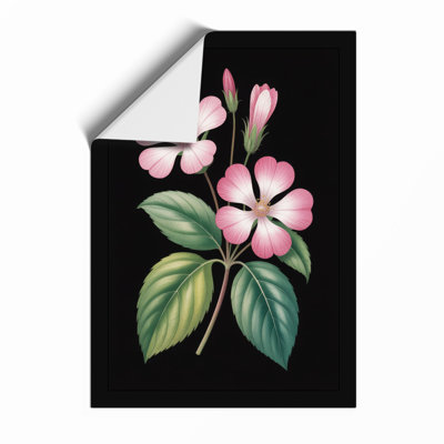 Pink Study Botanical - Print