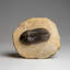 Stone Decorative Object