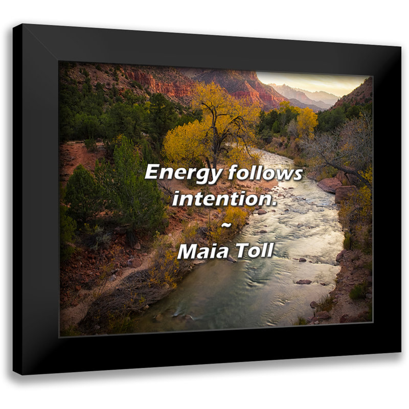 Maia Toll Citation: L'énergie suit l'intention.