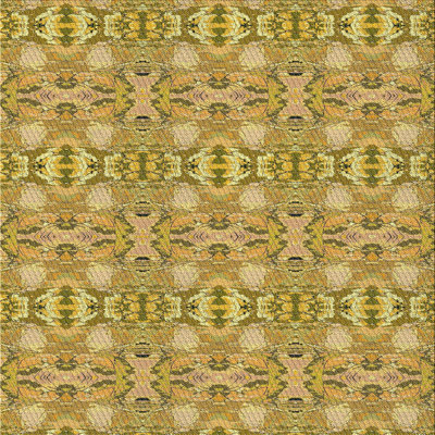 Indoor Rug