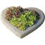 Heart Planter-13938664-13938660