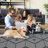 Machine Washable Area Rugs, Modern Geometric Area Rugs with Non-Slip Backing, Stain-Resistant Low Pile Carpet, Contemporary Accent Rugs for Living Room, Bedroom-1293323856