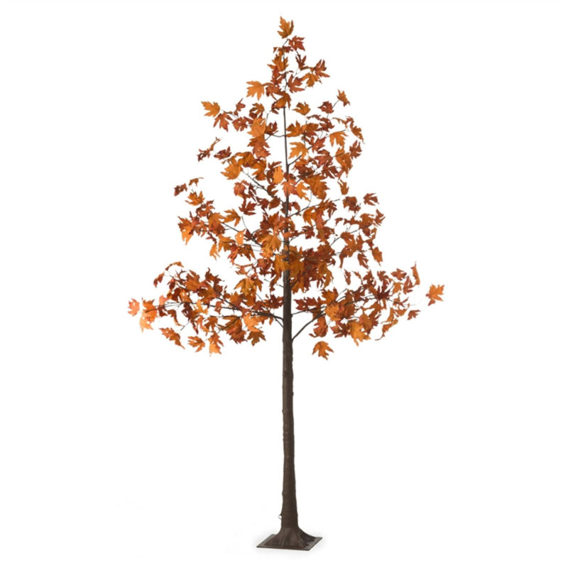 Érable illuminé intérieur / extérieur avec lumières, H 96 po x l 66 po x P 66 po