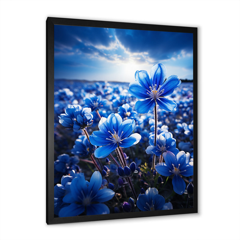 Bluebonnets Flower Blissful I - impression, Cadre photo noir, H 32 po x l 16 po x P 1 po