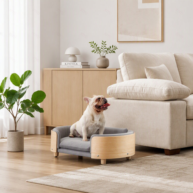 Lit pour chien surélevé de style scandinave avec pattes en bois massif et dossier en bois courbé, coussin en velours