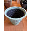 Hernandes Fiberglass Cachepot-48477815-102873675
