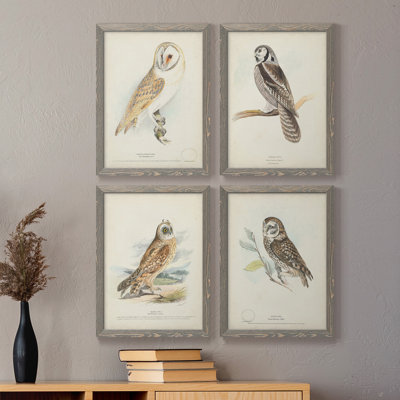 Toile encadrée de qualité supérieure Barn Owl - prête à être accrochée