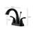 Wild 2-handle Bathroom Faucet with Drain Assembly