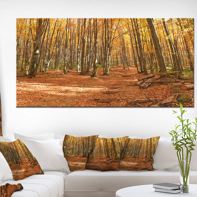 «Colorful Fall Forest with Fallen Leaves» - reproduction de photo sur toile tendue, H 28 po x l 60 po
