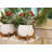 Christmas Decorative Accent
