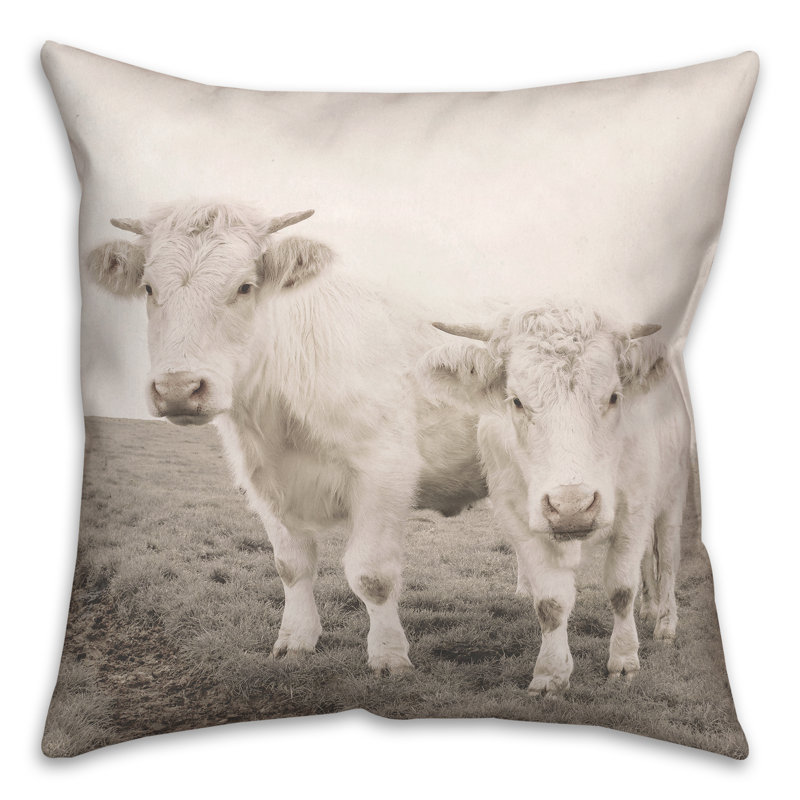 Coussin intérieur / extérieur, H 18 po x l 18 po, Carré