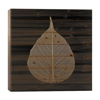 " Brown Leaf " by PhotoINC Studio