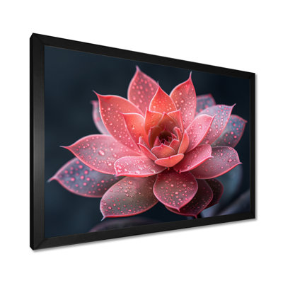 Beauté botanique succulente monochrome I - Art mural succulent