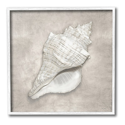 «Rustic Gray Conch Shell», estampe numérique par Amber Sterling