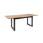 Crone Extendable Dining Table