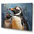 Wrapped Canvas
