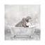 Baby Hippo Bath by Kimberly Allen - Wrapped Canvas Print-693527385