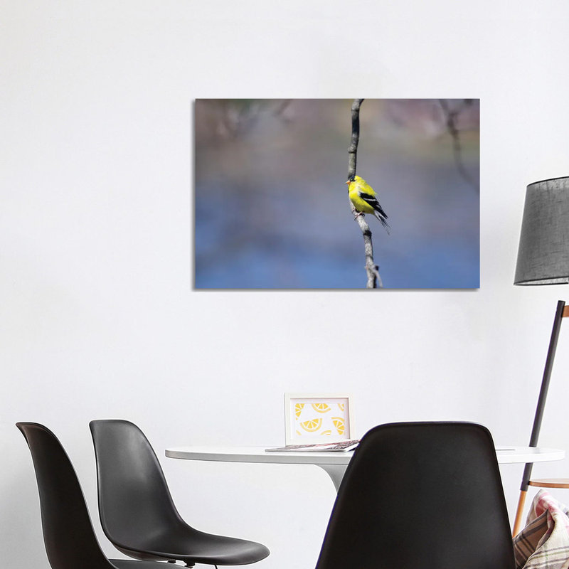 Big Cat by David Gardiner - Print on Canvas, Wrapped Canvas, 66.04 cm H x 45.72 cm W x 3.175 cm D