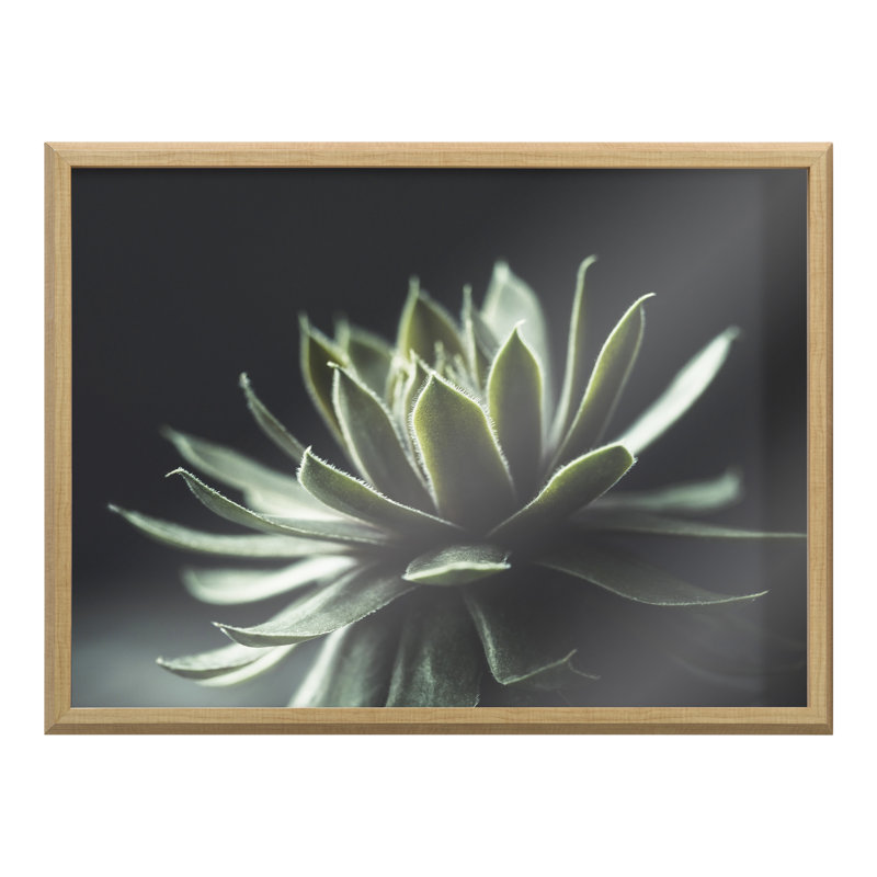 Art mural en verre Warrior Succulent par Emiko et Mark Franzen