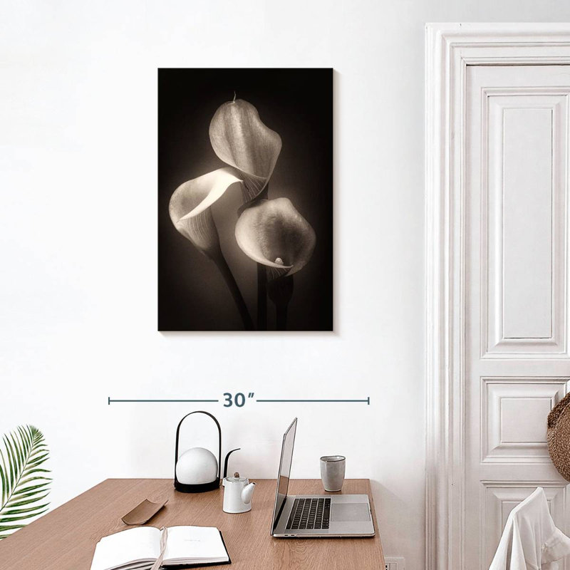 Harnek Calla Lilly Sepia, 30" H x 20" W