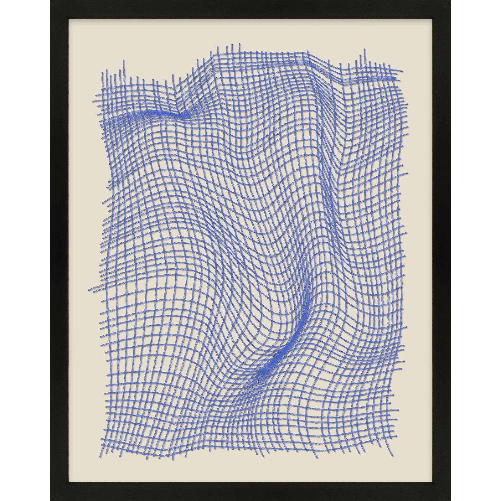 Netting 2 Print by Jacques Pilon, Black Single Structure Framed Paper, 20" H x 16" W x 1.25" D
