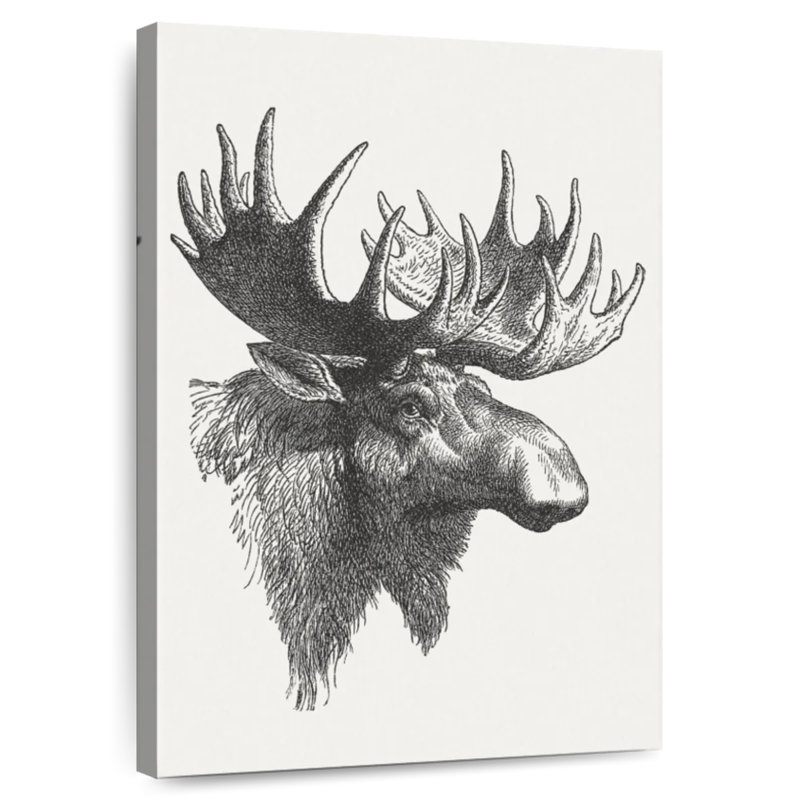 Brampt Bull Moose Head, 12" H x 8" W