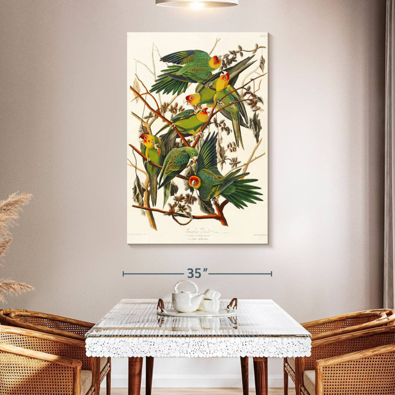 Brampt Carolina Parakeet, 51" H x 34" W