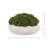 Sedum Arranged in a Stone Planter-774965369-774965254