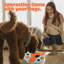 Jouets interactifs pour animaux Pet Pet-117330098
