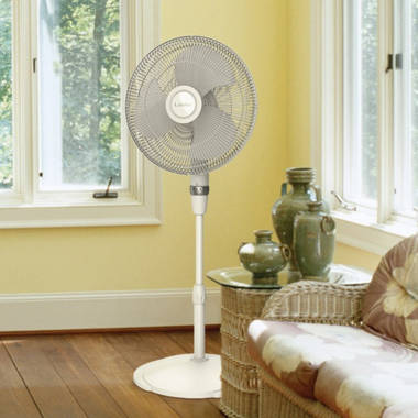 Lasko Oscillating 16 Pedestal Fan u0026 Reviews - Wayfair Canada