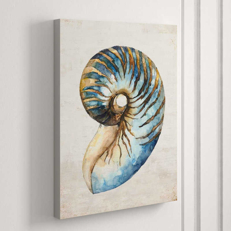 Shell Compilation III Print by Beverly Fuller, 40" H x 30" W x 1.5" D, Glass Coat