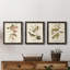Oiseau de riz Wandering, reproduction d'art sur toile-1813864139-1813864142