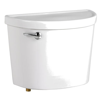 Champion PRO 1.28 gpf/4.8 Lpf 12-Inch Rough Lined Tank