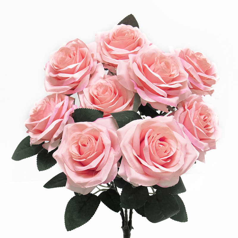 Grand rosier Jaafer Deluxe, Rosé