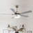 52'' Ceiling Fan with LED Lights-1641423353