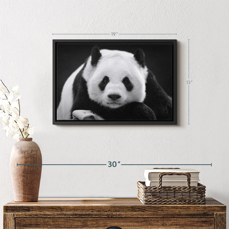 Reproduction sur toile Panda noir et blanc, H 13 po x l 19 po